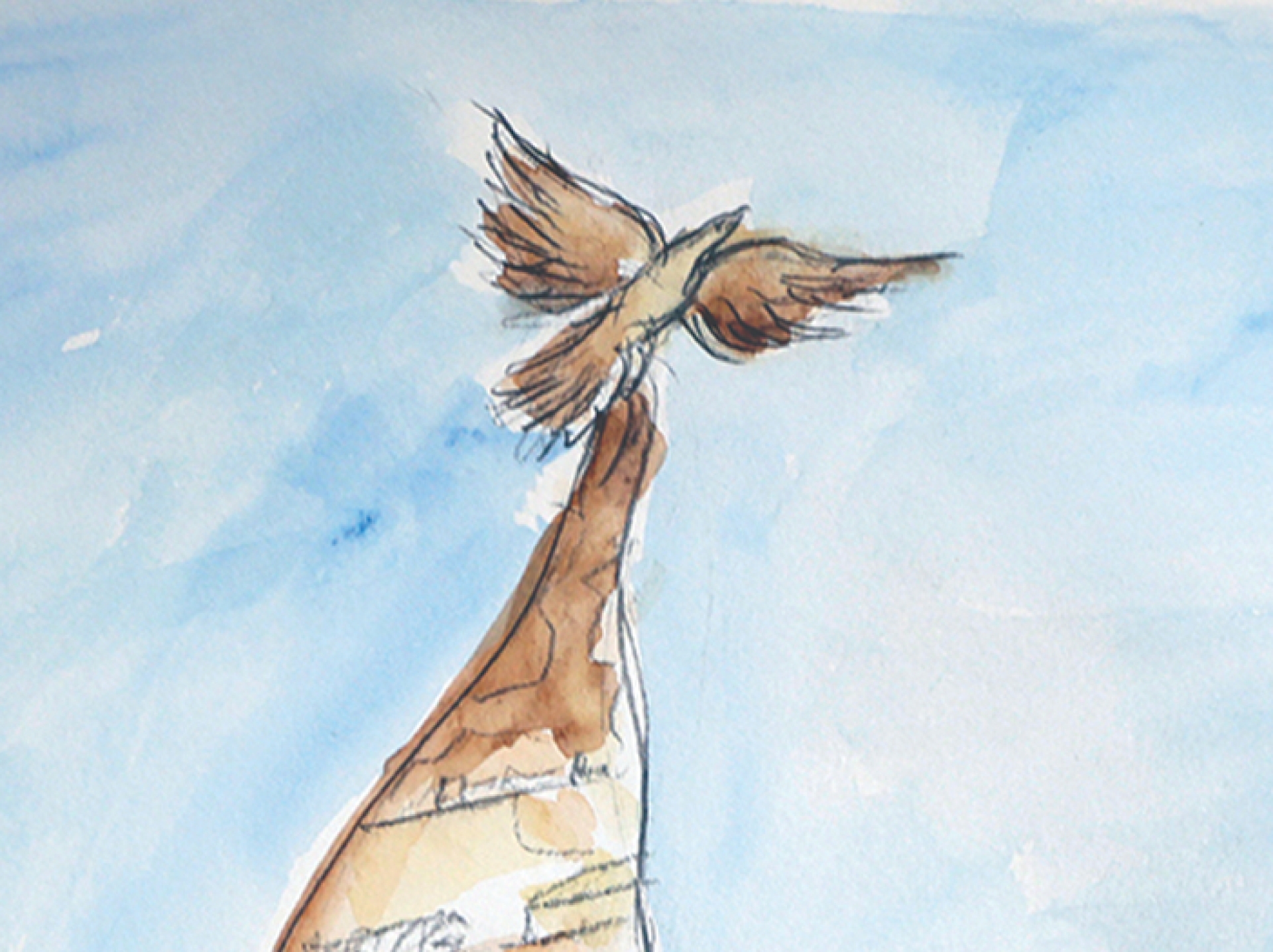 July 8th P1A8190 copy LRZ 